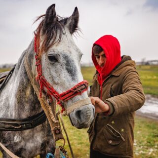 Countryside Romania... The Rroma relationship with the horse is ancient and deep. Horses ownership is considered one of the last links to their nomadic way of life.#romania #horses #nomadiclife #countryside #horse #horselife #tradition #nomadlife #horselover #canonromania #travelphotography #travelling