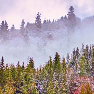 in search of inner peace, walking outdoor can be a good source of inspiration.#outdooradventure #walkinginthewoods #mountainlovers #outdoorlovers #autumnmood🍂 #romaniamagica #romaniapitoreasca #visitromania #acasainromania #romaniaascunsa #transylvania #visittransylvania