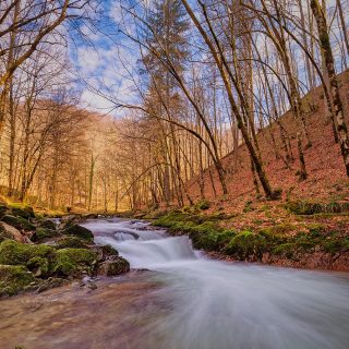 I wish I could move at least half a meter to the right... But taking into account the season and the water flow and temperature, I gave up. I hope you like the image from this angle too. #landscape_lovers #waterflow #mountainlovers #romaniamagica #romaniafrumoasa #intothewild #magicnature #outdoorphotography #intothewoods #mountainriver